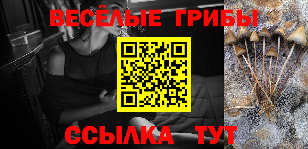 Сокол  Галлюциногенные грибы Psilocybe  Вход с VPN 